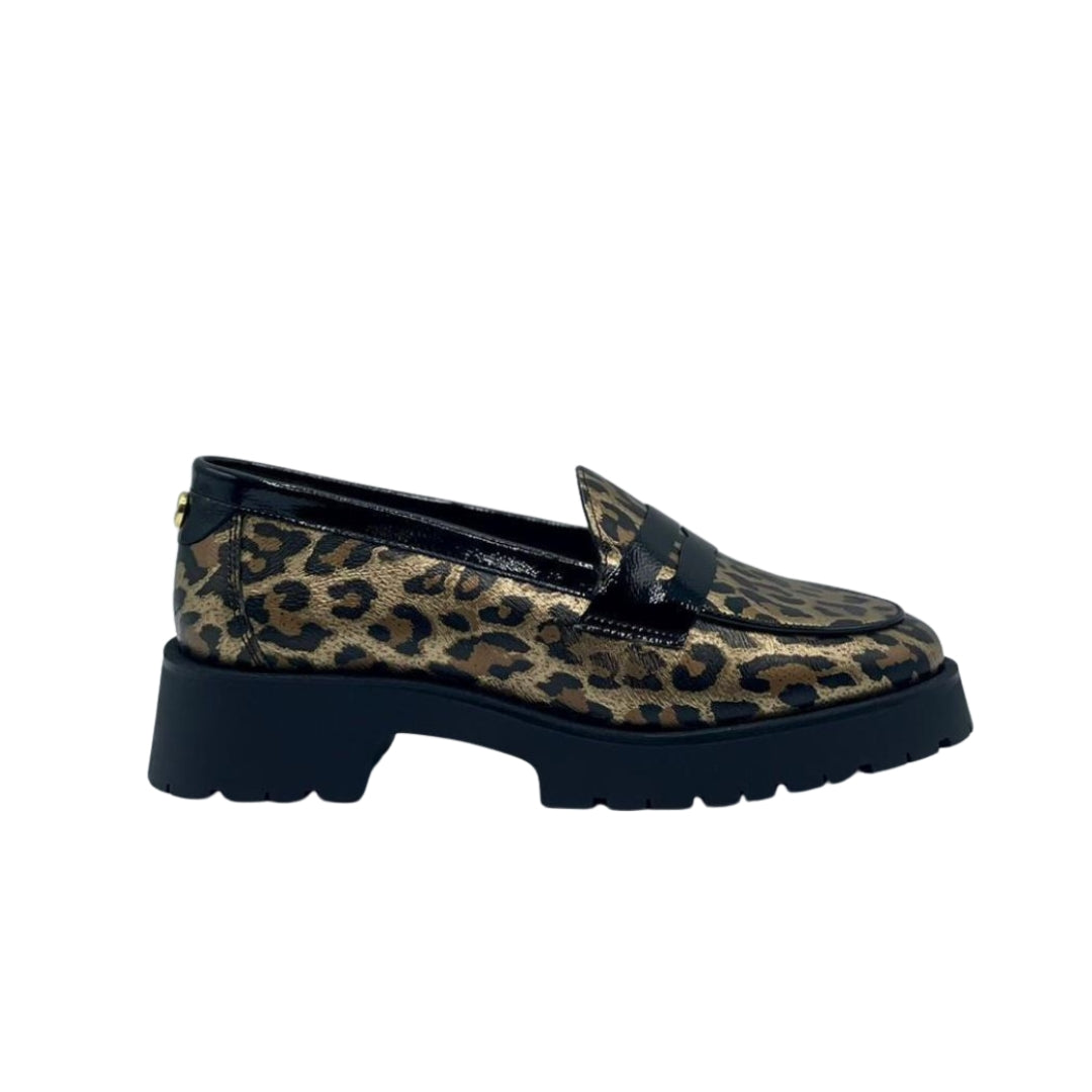 sapatos-animal-mlv