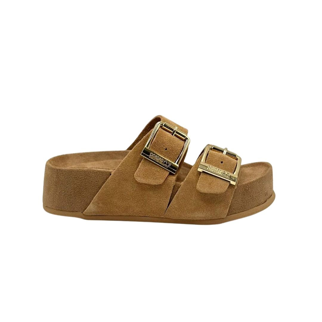 chinelos-camel-colorsofcalifornia