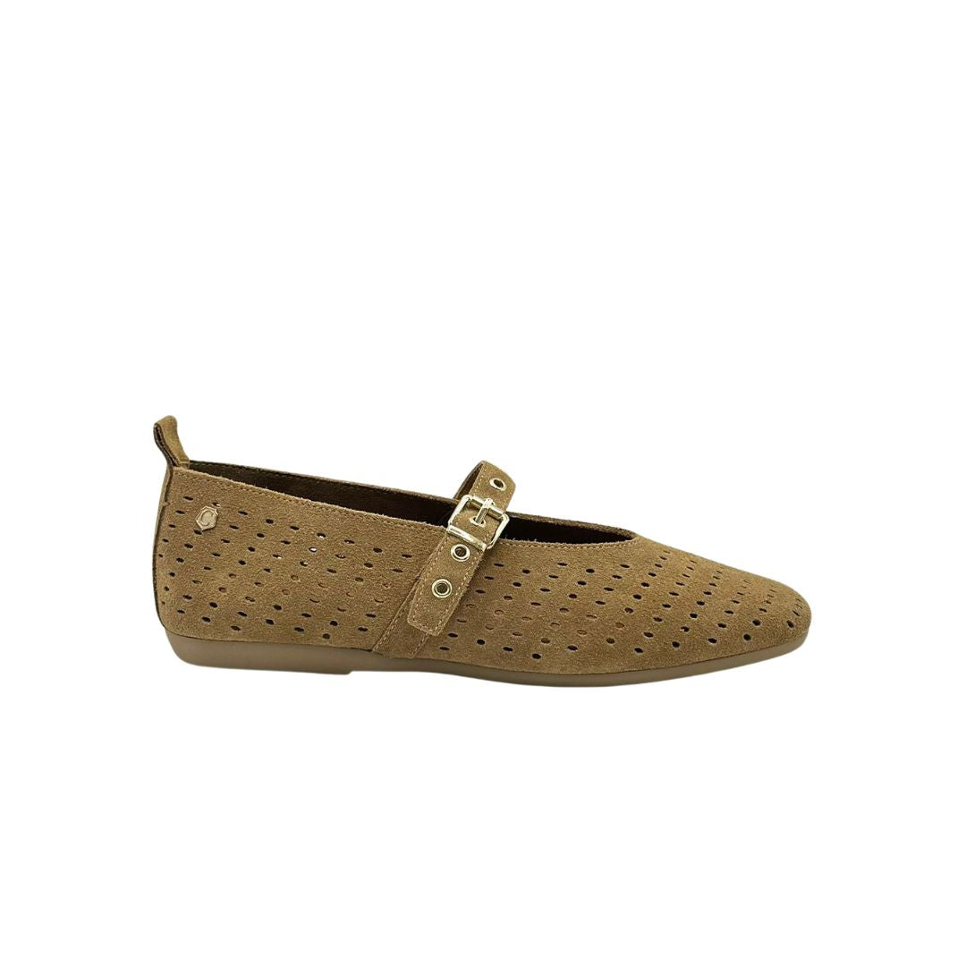 sabrinas-camel-carmela